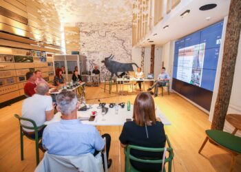 Implementacija višerazinskog okvira energetske obnove u Gradu Velikoj Gorici