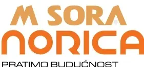 Noric logo