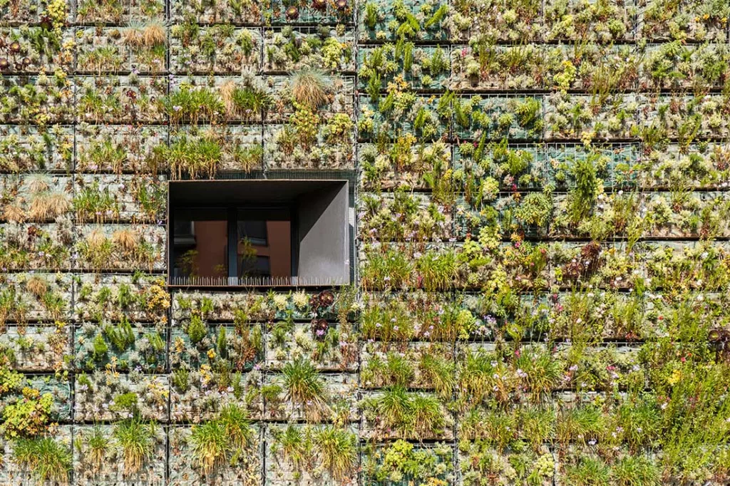 Održiva arhitektura, zelena ovojnica zgrade