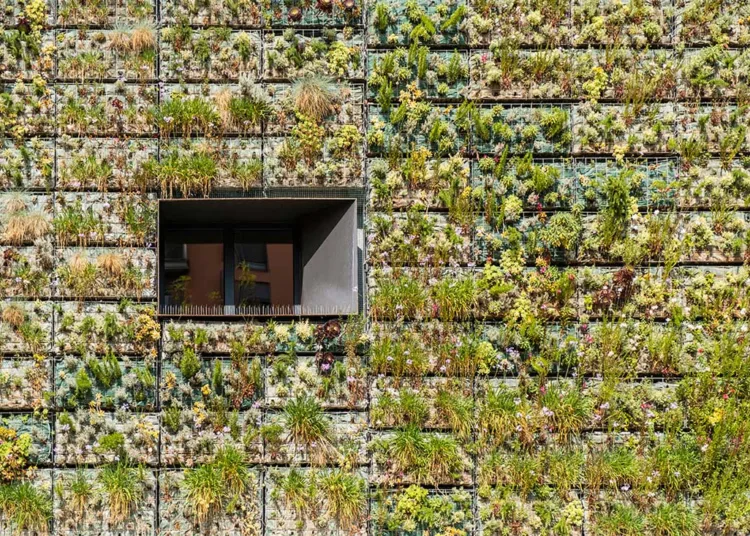Održiva arhitektura, zelena ovojnica zgrade