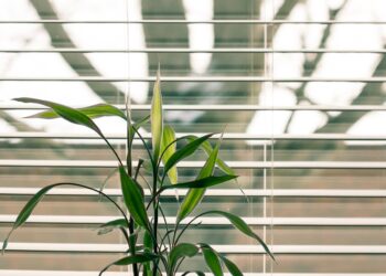 LJUBENKOVIĆ GRUPA: Odredište za kreativna rješenja