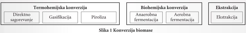 216-slika1-Konverzija-biomase