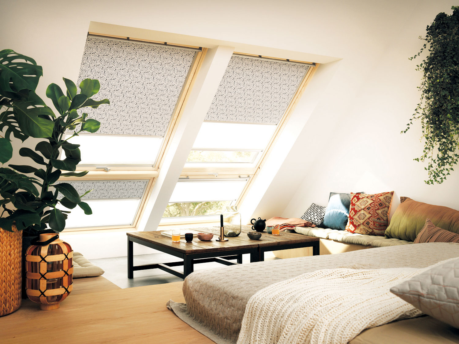 Ljubica-velux_122728-01-XXL