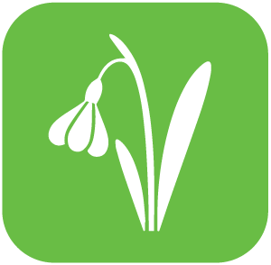 Marlex icon proljece