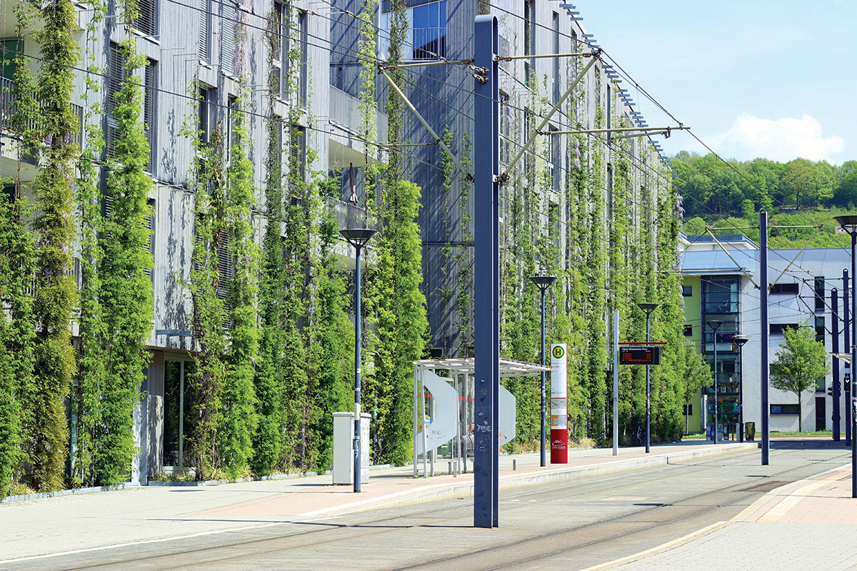 Biofilna arhitektura u gradskim sredinama