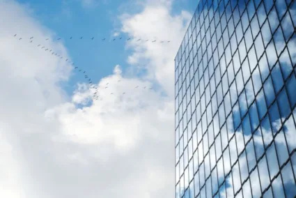nebo,ptice i staklena zgrada