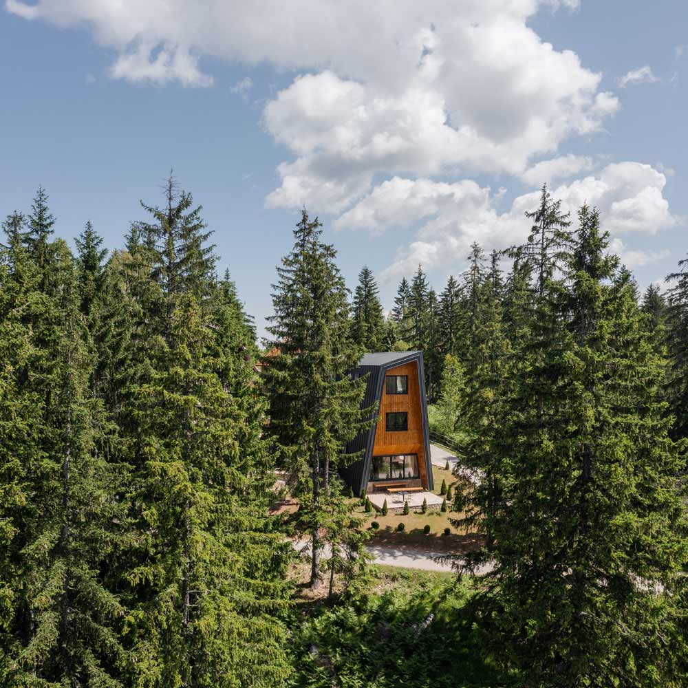Projekat AKVS Arhitektura, Vila Plava / foto: Miloš Martinović