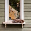 Spoljašnja drvena podprozorska daska / foto: pexels.com