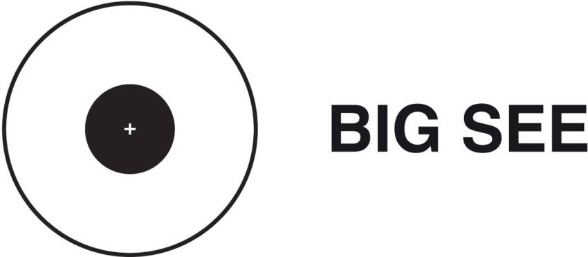 BIG SEE logo