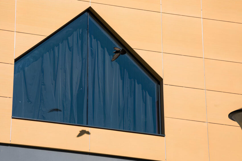 Dečji paviljon ustanove za decu i mlade u Sremčici / foto: SADA Architects